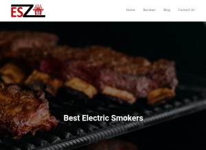 How electricsmokerszone.com looks like on a tablet such as an iPad.