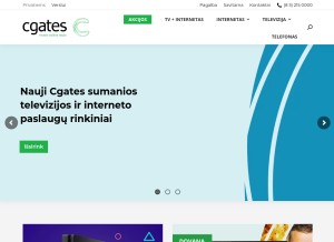 How elekta.lt looks like on a tablet such as an iPad.