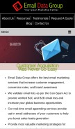 How emaildatagroup.net looks like on a mobile device such as an iPhone.