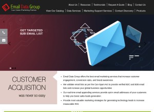 How emaildatagroup.net looks like on a tablet such as an iPad.