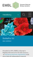 How embl.de looks like on a mobile device such as an iPhone.
