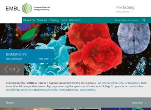 How embl.de looks like on a tablet such as an iPad.