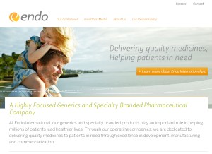 How endo.com looks like on a tablet such as an iPad.