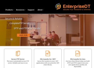 How enterprisedt.com looks like on a tablet such as an iPad.