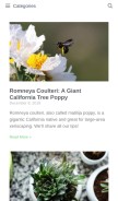 How epicgardening.com looks like on a mobile device such as an iPhone.
