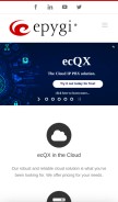 How epygi.com looks like on a mobile device such as an iPhone.