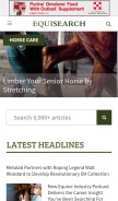 How equisearch.com looks like on a mobile device such as an iPhone.