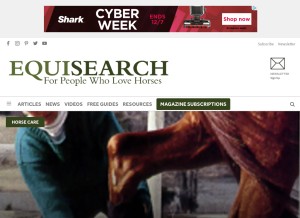 How equisearch.com looks like on a tablet such as an iPad.