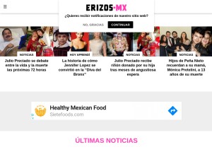 How erizos.mx looks like on a tablet such as an iPad.