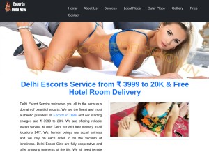 How escortsdelhinow.in looks like on a tablet such as an iPad.