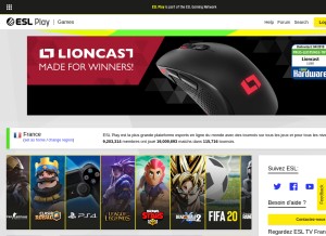 How esl.eu looks like on a tablet such as an iPad.