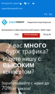 How essayprofit.com looks like on a mobile device such as an iPhone.