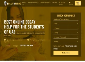 How essaywriting.ae looks like on a tablet such as an iPad.