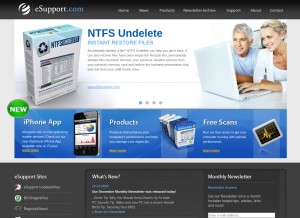 How esupport.com looks like on a tablet such as an iPad.