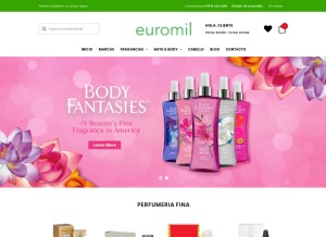 How euromil-int.com looks like on a tablet such as an iPad.