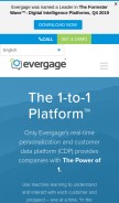 How evergage.com looks like on a mobile device such as an iPhone.