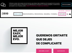 How evobanco.com looks like on a tablet such as an iPad.