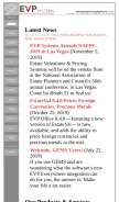 How evpsys.com looks like on a mobile device such as an iPhone.