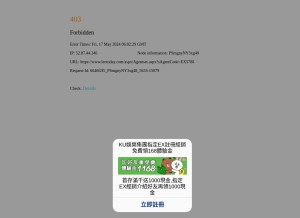 How ex593.com looks like on a tablet such as an iPad.