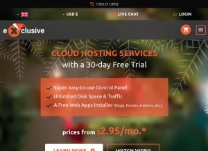 How exclusivehosting.net looks like on a tablet such as an iPad.