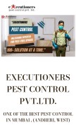How executionerspestcontrol.in looks like on a mobile device such as an iPhone.