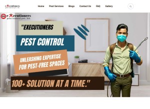 How executionerspestcontrol.in looks like on a tablet such as an iPad.