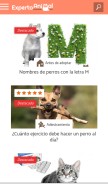 How expertoanimal.com looks like on a mobile device such as an iPhone.