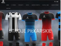 Desktop screenshot for pehasports.com
