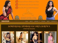 Desktop screenshot for soniyayer.com