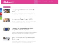 Desktop screenshot for madamebuzz.fr