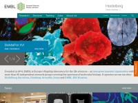 Desktop screenshot for embl.de