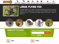 Desktop screenshot for animalspot.net