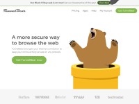 Desktop screenshot for tunnelbear.com
