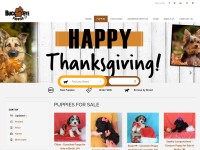 Desktop screenshot for buckeyepuppies.com