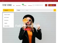 Desktop screenshot for temestore.com