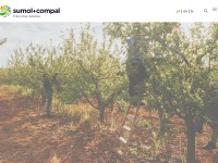 Desktop screenshot for sumolcompal.pt