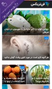 How fantricks.com looks like on a mobile device such as an iPhone.