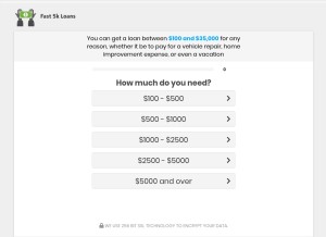 How fast5kloans.com looks like on a tablet such as an iPad.