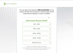 How fastloanadvance.com looks like on a tablet such as an iPad.
