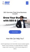 How fastseosolutions.com looks like on a mobile device such as an iPhone.