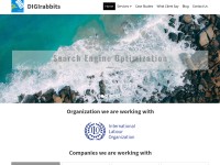 Desktop screenshot for digirabbits.com