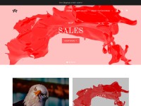 Desktop screenshot for americaorigin.com