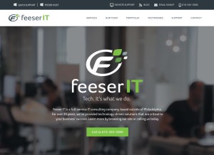 How feeser.com looks like on a tablet such as an iPad.