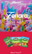 How ferrarausa.com looks like on a mobile device such as an iPhone.