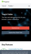 How fiddler2.com looks like on a mobile device such as an iPhone.