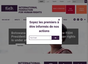 How fidh.org looks like on a tablet such as an iPad.