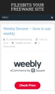 How filesbits.com looks like on a mobile device such as an iPhone.