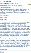 How findmyipaddress.com looks like on a mobile device such as an iPhone.