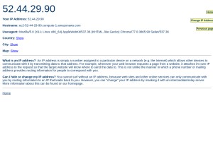 How findmyipaddress.com looks like on a tablet such as an iPad.