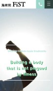 How fist-fieldofstandingup.com looks like on a mobile device such as an iPhone.